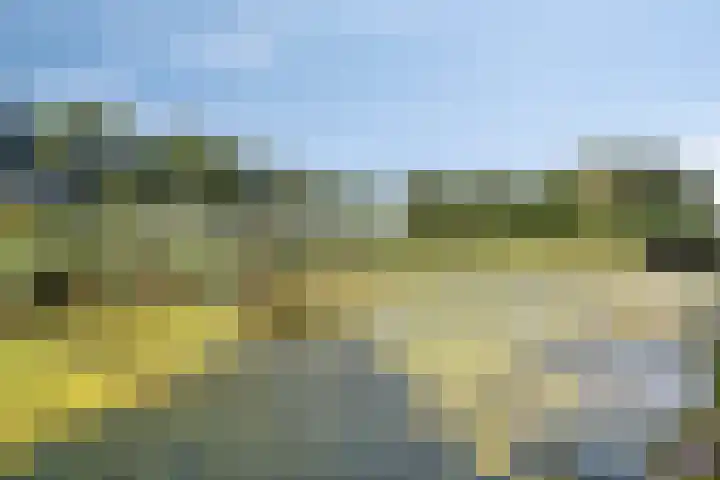 Keiwierde 151 Almere thumbnail 39