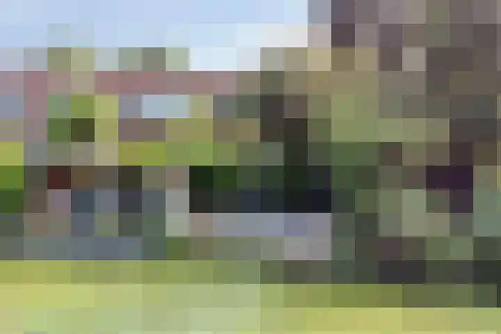 Keiwierde 151 Almere thumbnail 40