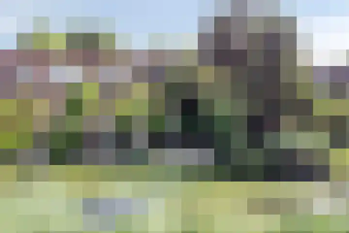 Keiwierde 151 Almere thumbnail 41