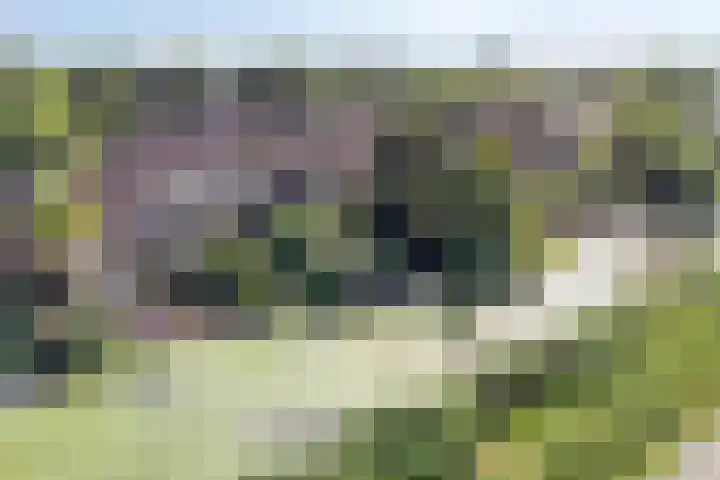 Keiwierde 151 Almere thumbnail 42