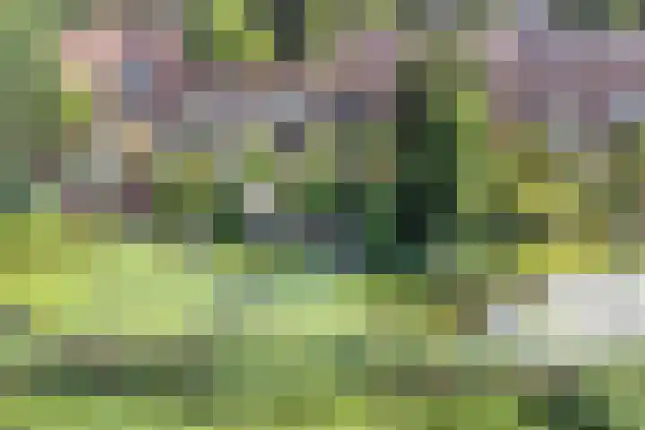 Keiwierde 151 Almere thumbnail 43