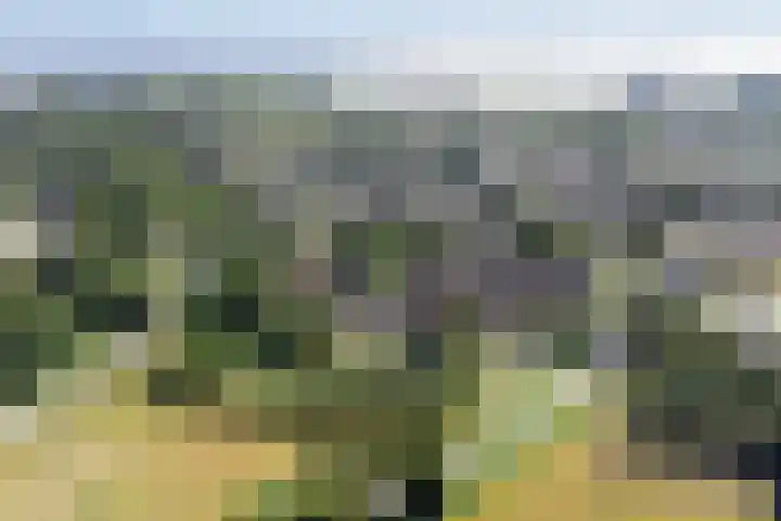 Keiwierde 151 Almere thumbnail 44