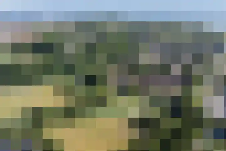 Keiwierde 151 Almere thumbnail 45