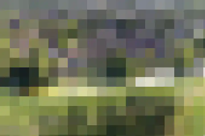 Keiwierde 151 Almere thumbnail 46