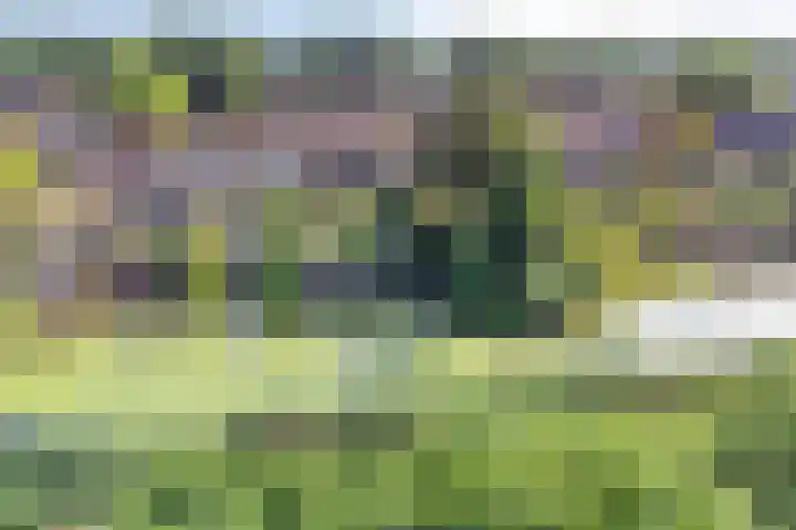 Keiwierde 151 Almere thumbnail 5