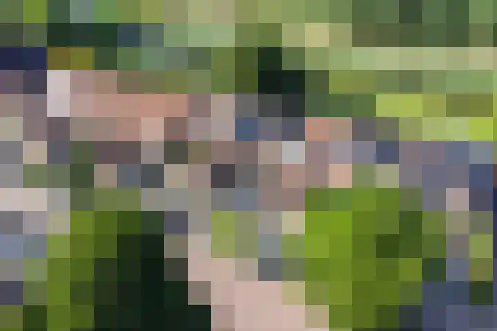 Keiwierde 151 Almere thumbnail 50