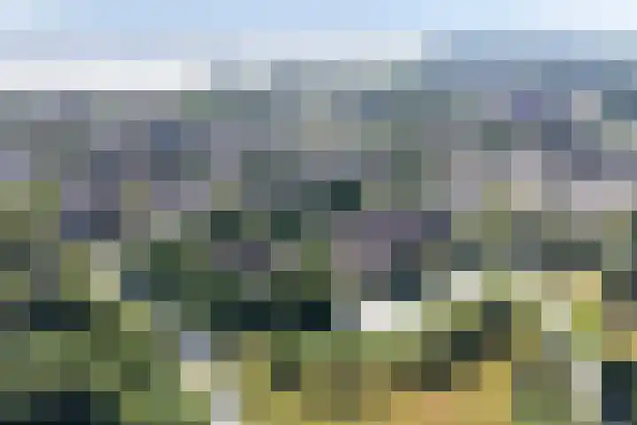 Keiwierde 151 Almere thumbnail 52