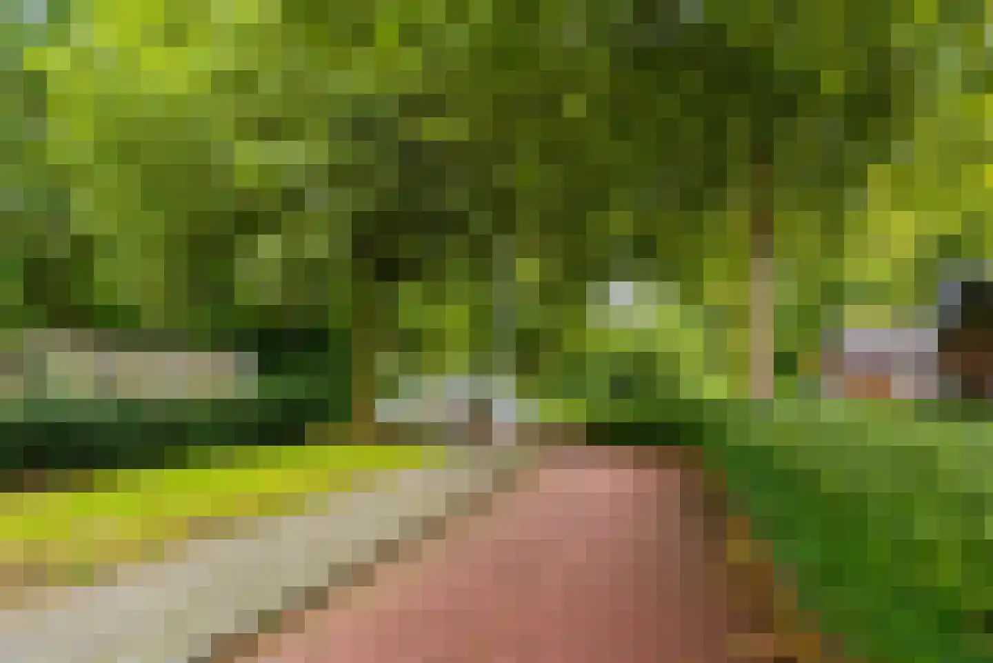 Keiwierde 28 Almere thumbnail 43