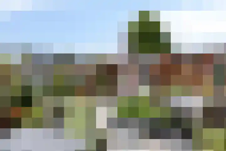 Keiwierde 78 Almere thumbnail 26