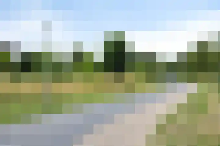 Keiwierde 78 Almere thumbnail 30