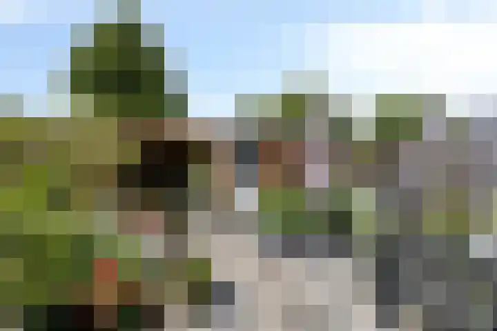 Keiwierde 78 Almere thumbnail 4