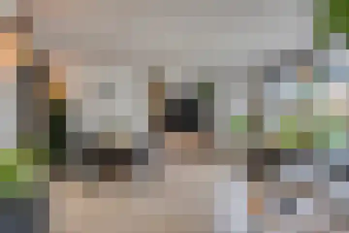 Keiwierde 78 Almere thumbnail 9