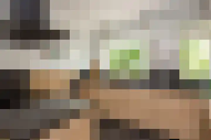 Keizer 15 Wijk bij Duurstede thumbnail 14