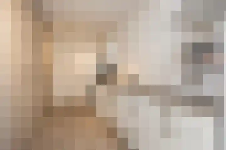 Keizer 15 Wijk bij Duurstede thumbnail 17