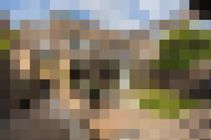 Keizer 15 Wijk bij Duurstede thumbnail 18