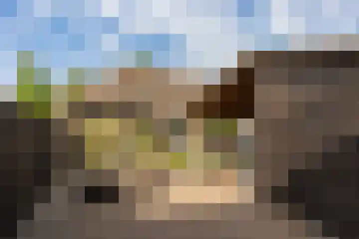 Keizer 15 Wijk bij Duurstede thumbnail 20