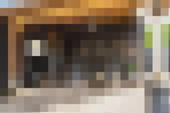 Keizer 15 Wijk bij Duurstede thumbnail 21
