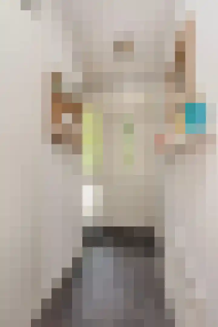 Keizer 15 Wijk bij Duurstede thumbnail 22