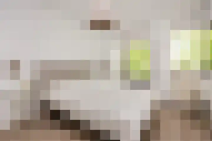 Keizer 15 Wijk bij Duurstede thumbnail 24
