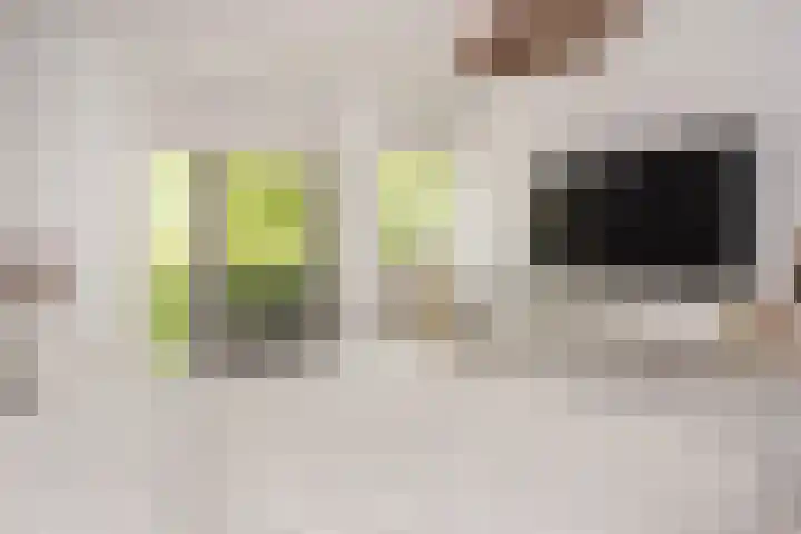 Keizer 15 Wijk bij Duurstede thumbnail 25