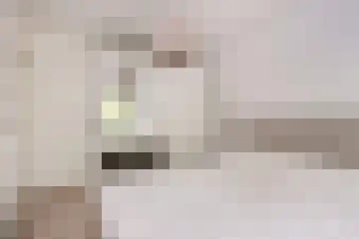 Keizer 15 Wijk bij Duurstede thumbnail 26