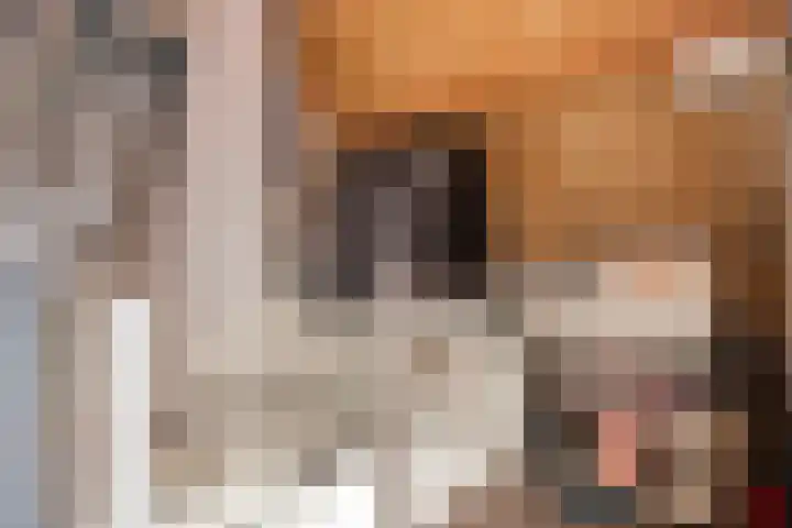 Keizer 15 Wijk bij Duurstede thumbnail 36
