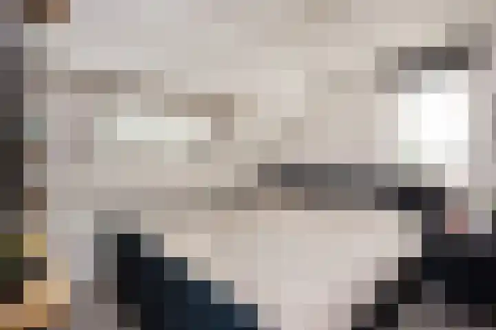 Keizer 15 Wijk bij Duurstede thumbnail 37