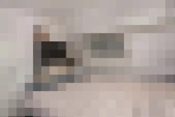Keizer 15 Wijk bij Duurstede thumbnail 39