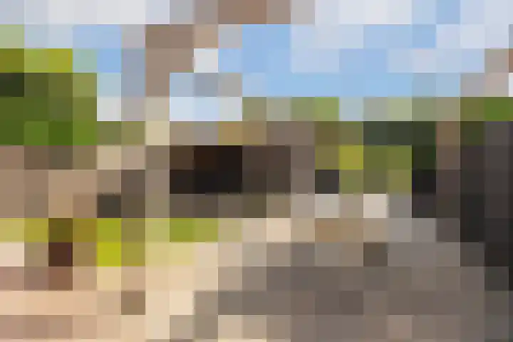Keizer 15 Wijk bij Duurstede thumbnail 4