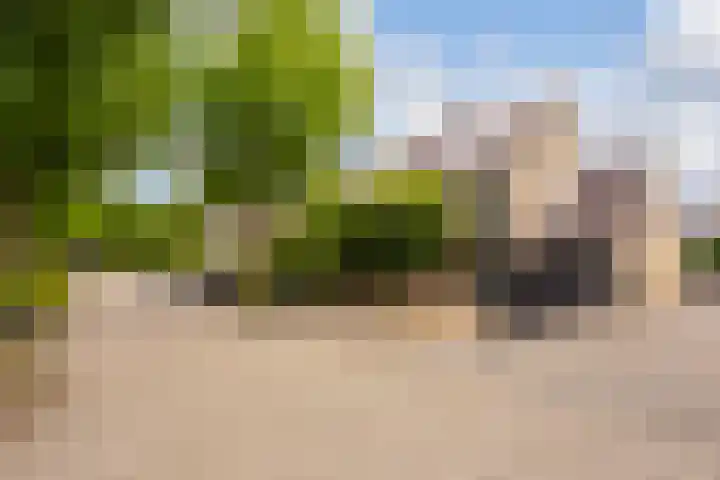 Keizer 15 Wijk bij Duurstede thumbnail 41