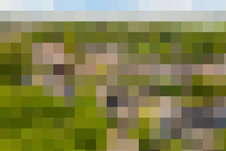 Keizer 15 Wijk bij Duurstede thumbnail 43