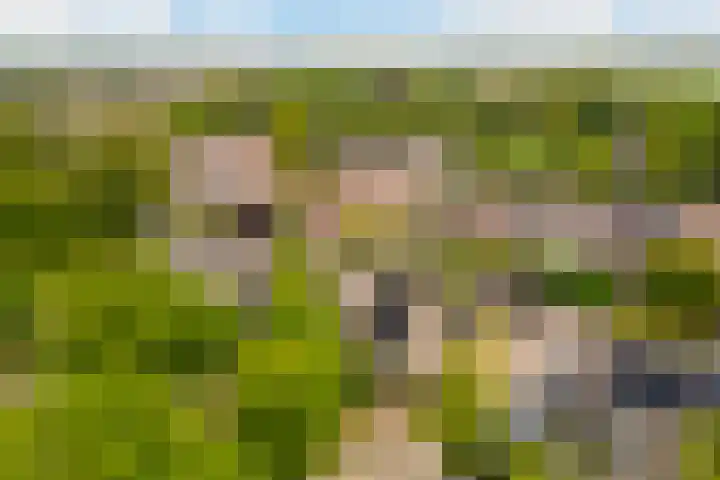 Keizer 15 Wijk bij Duurstede thumbnail 44
