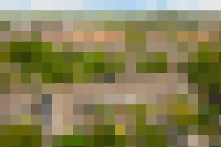 Keizer 15 Wijk bij Duurstede thumbnail 45