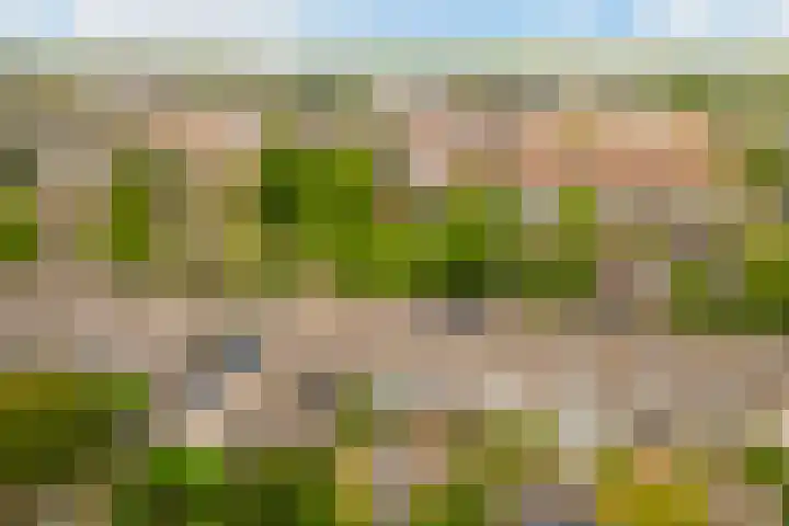 Keizer 15 Wijk bij Duurstede thumbnail 46