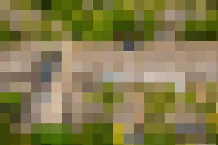 Keizer 15 Wijk bij Duurstede thumbnail 47