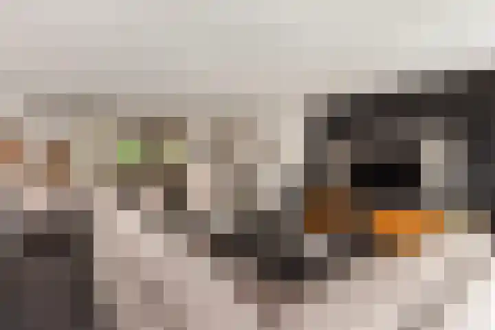 Keizer 15 Wijk bij Duurstede thumbnail 5