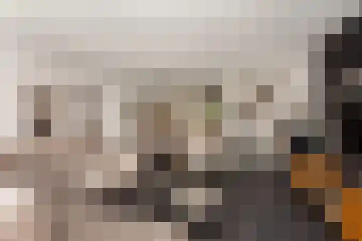 Keizer 15 Wijk bij Duurstede thumbnail 6