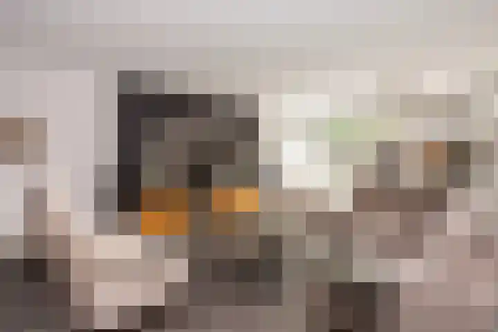Keizer 15 Wijk bij Duurstede thumbnail 7