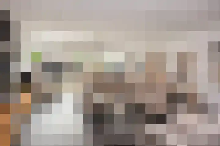 Keizer 15 Wijk bij Duurstede thumbnail 8