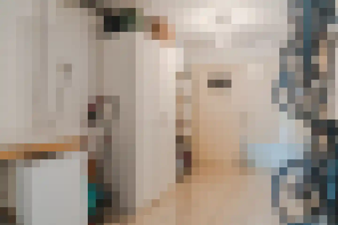 Keizer 23 Wijk bij Duurstede thumbnail 25