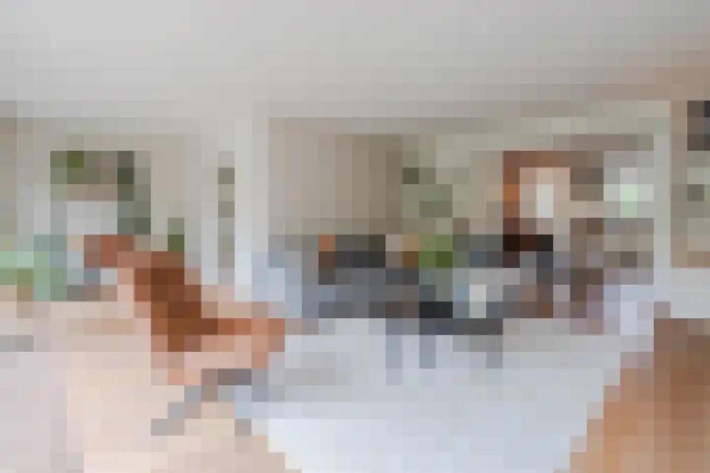 Keizer 23 Wijk bij Duurstede foto 3