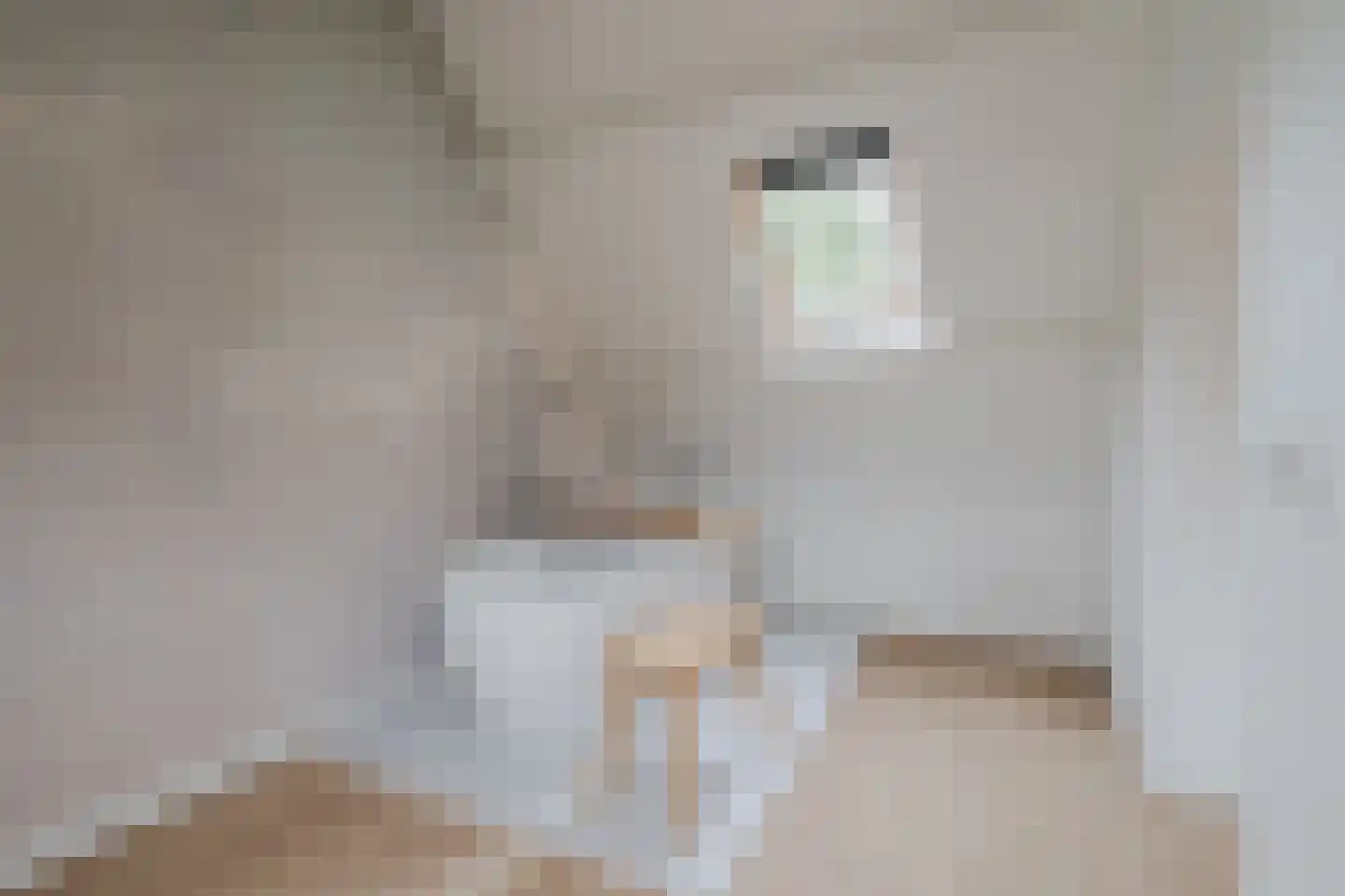 Keizer 23 Wijk bij Duurstede thumbnail 31