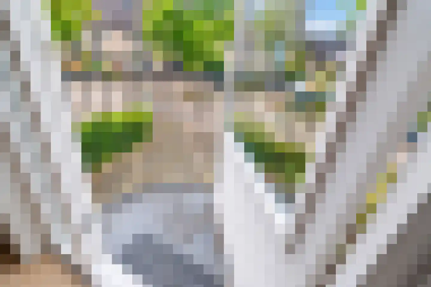Keizer 23 Wijk bij Duurstede thumbnail 40