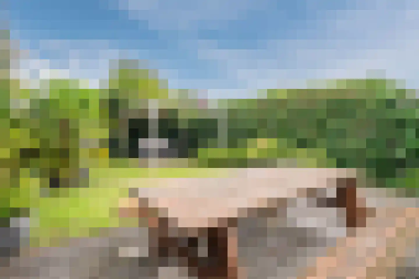 Keizer 23 Wijk bij Duurstede thumbnail 5