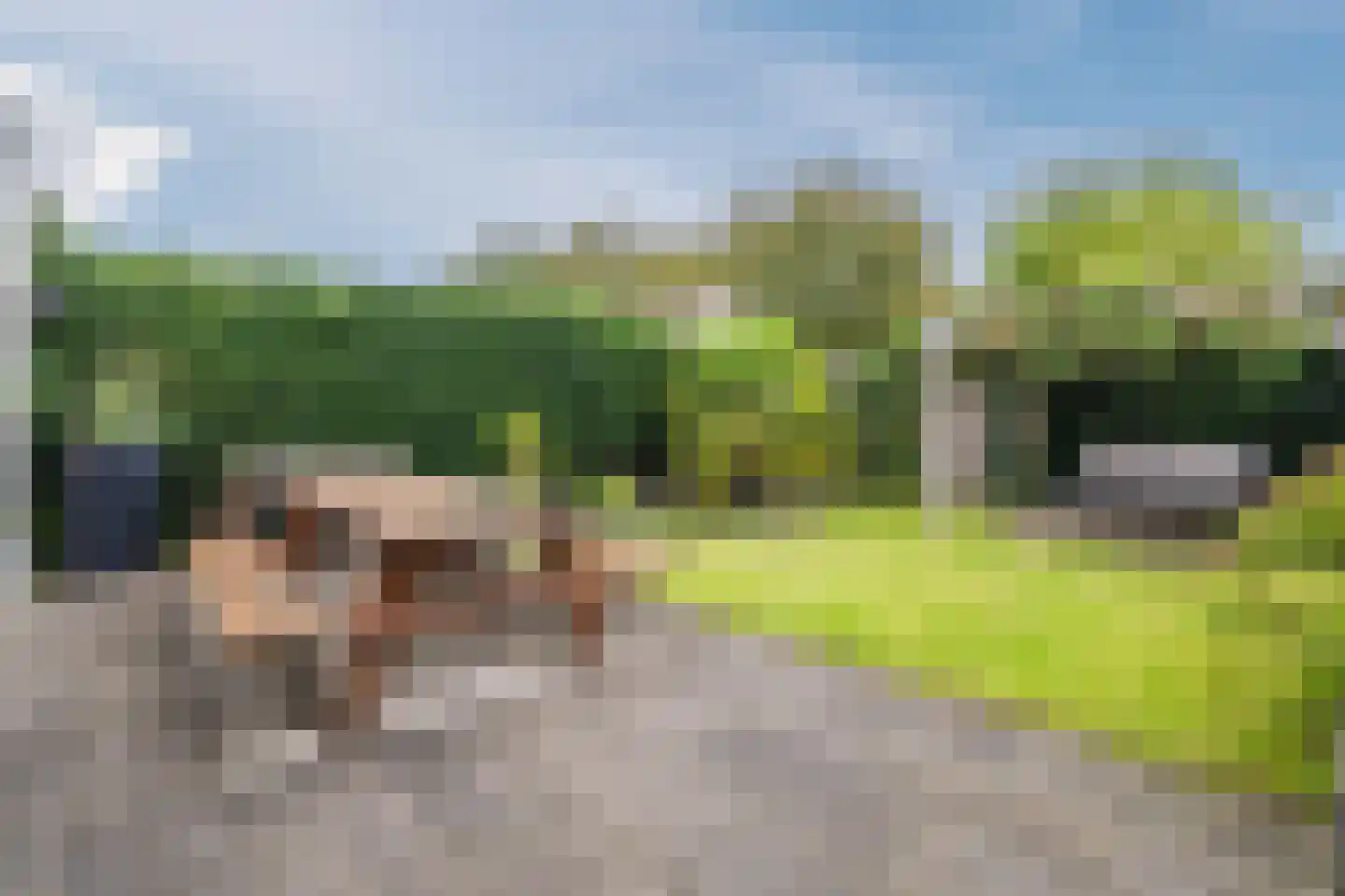 Keizer 23 Wijk bij Duurstede thumbnail 54