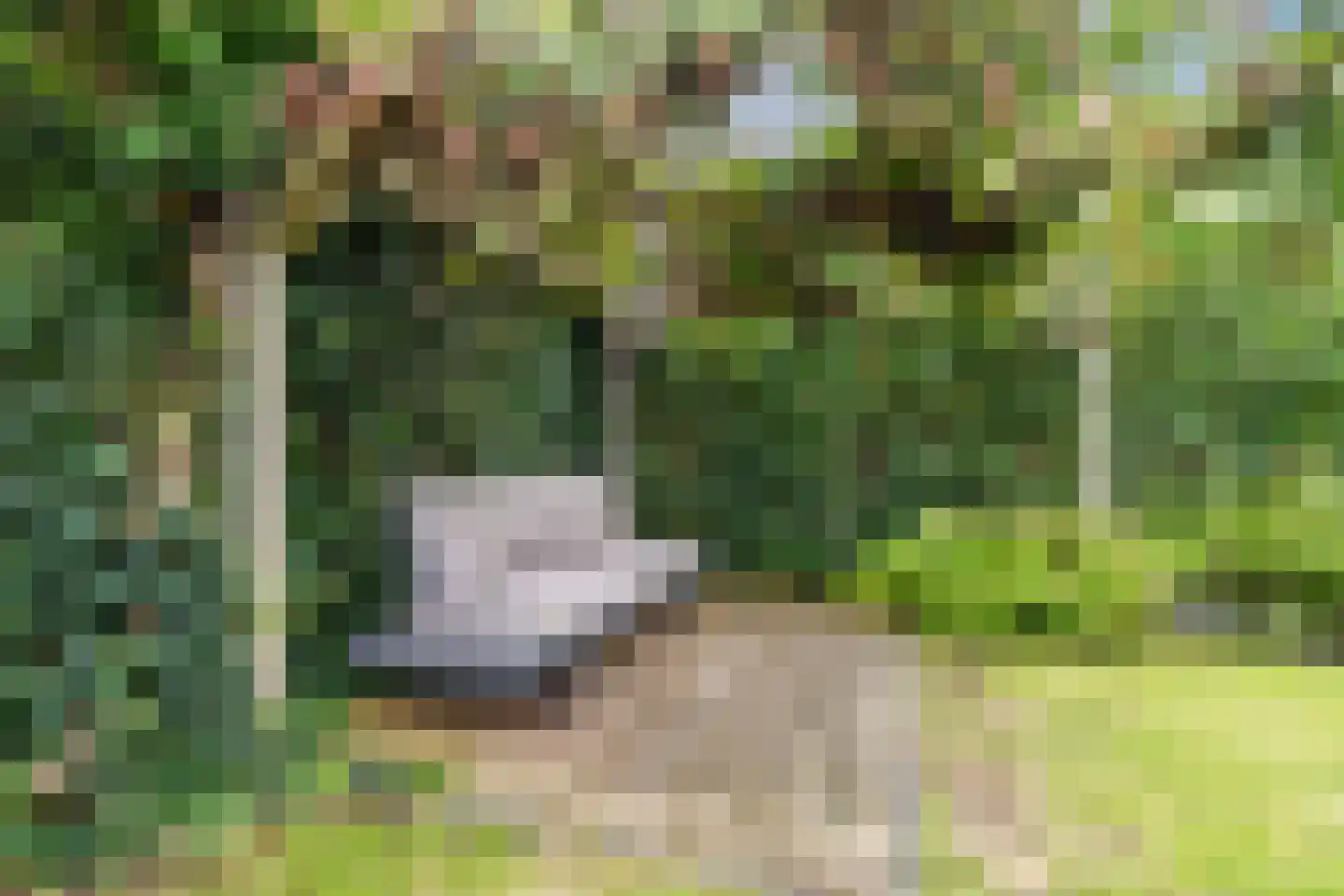 Keizer 23 Wijk bij Duurstede thumbnail 55