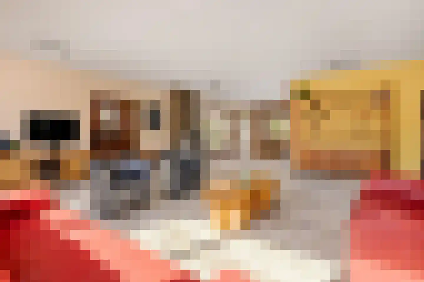 Keizer 40 Wijk bij Duurstede thumbnail 11