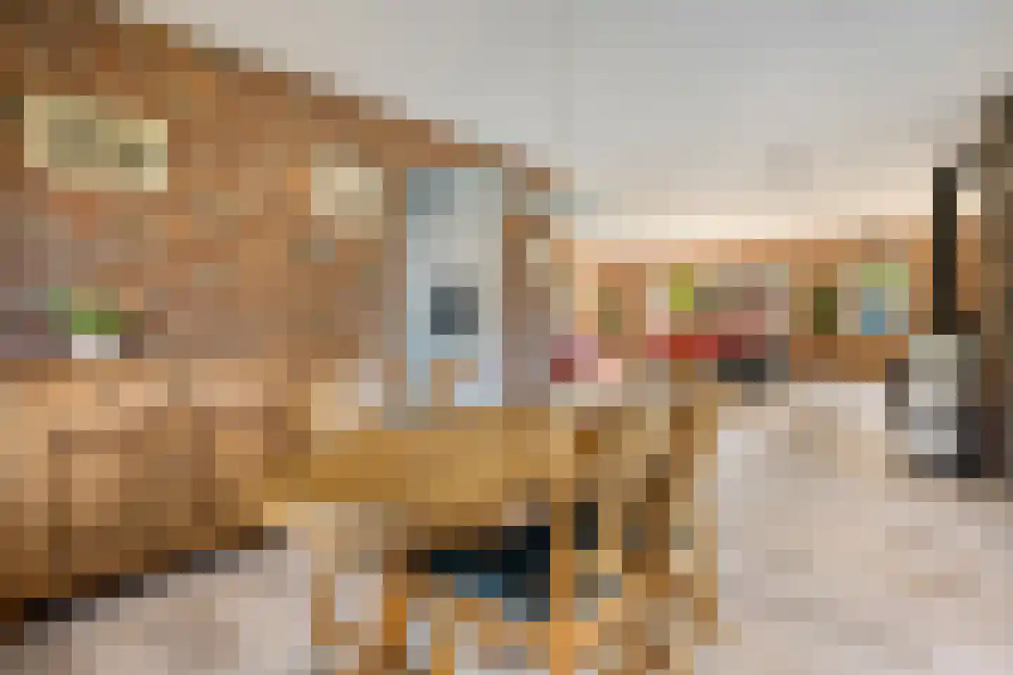 Keizer 40 Wijk bij Duurstede thumbnail 15