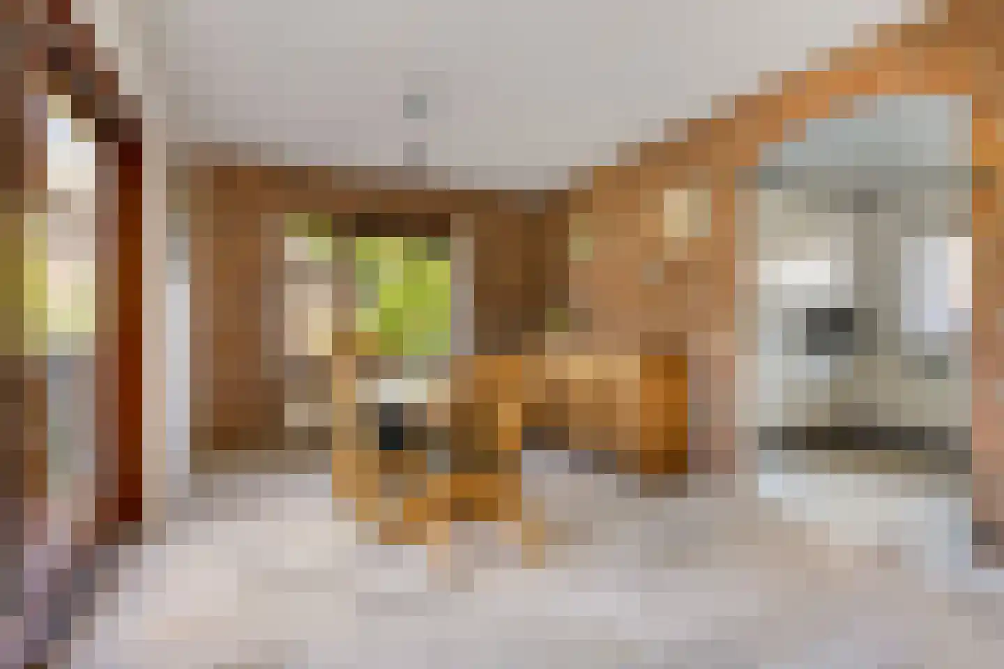 Keizer 40 Wijk bij Duurstede thumbnail 16