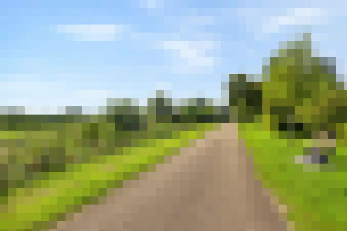 Keizer 40 Wijk bij Duurstede thumbnail 73